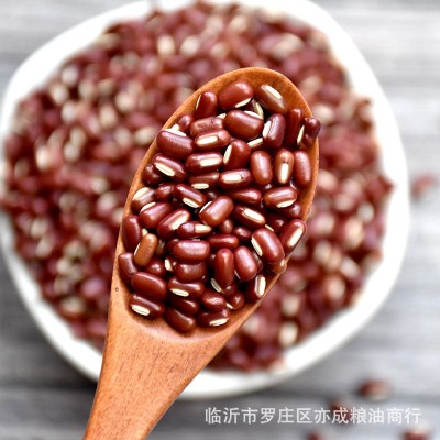 现货供应赤小豆非红豆农家自产长粒赤小豆24.75kg五谷杂粮红赤豆图2