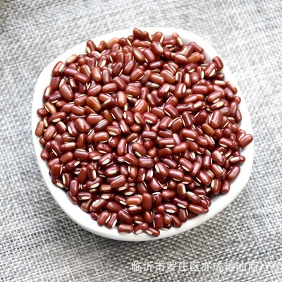 现货供应赤小豆非红豆农家自产长粒赤小豆24.75kg五谷杂粮红赤豆图3
