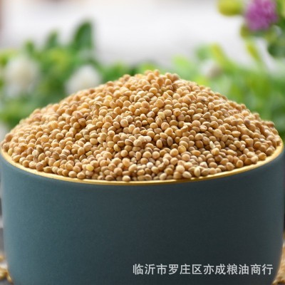 鹦鹉粮黄谷子鸟粮鸟食有壳谷子文鸟虎皮玄风牡丹横班25kg五谷杂粮图3
