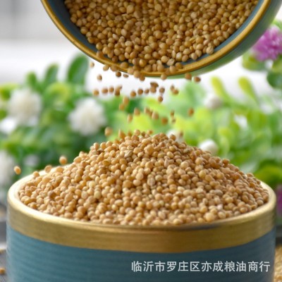 鹦鹉粮黄谷子鸟粮鸟食有壳谷子文鸟虎皮玄风牡丹横班25kg五谷杂粮图2