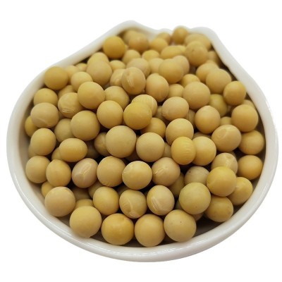 大黄豆批发东北大豆50斤笨黄豆黄大豆批发散装五谷杂粮大豆图5