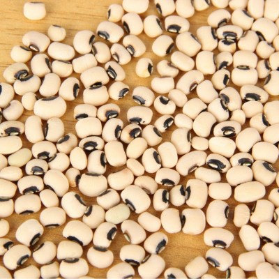 批发黑嘴白豇豆 五谷杂粮白豇豆白眉豆 煮粥白眉豆粗粮豆类白豇豆图3