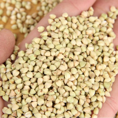 厂家批发荞麦米荞麦仁 三角麦粒荞麦米袋装25kg五谷杂粮荞麦米
