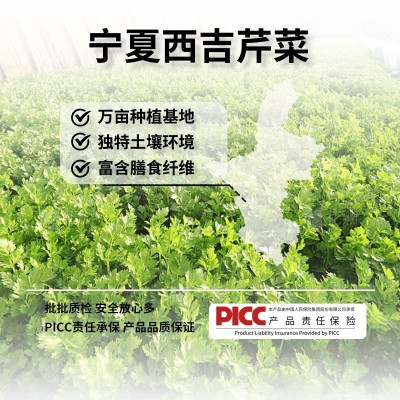 NFC西芹原浆100%鲜榨芹菜浓缩果蔬汁代餐膳食纤维西芹汁 工厂直销图2