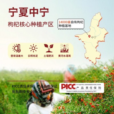 【杞梦康】宁夏中宁枸杞原浆工厂NFC鲜果鲜榨原汁批发批 电商代发图4