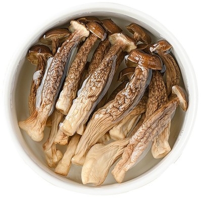 鹿茸菇500g干货鹿茸菌非特级野生脆脆菇干煲汤蘑菇云南菌 子特产图4
