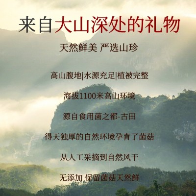 鹿茸菇500g干货鹿茸菌非特级野生脆脆菇干煲汤蘑菇云南菌 子特产图2