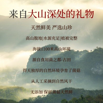 福建野生红菇250g 500g福建特产山珍南北干货蘑菇食用菌煲汤食材图3