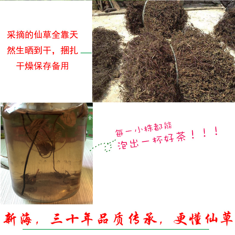 仙草种植2.jpg