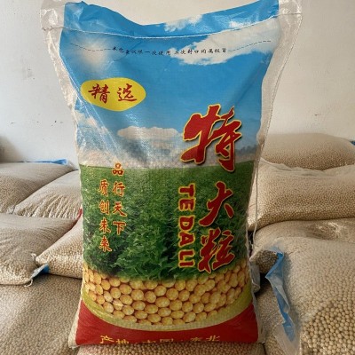 现货批发黄豆东北黄豆50斤大颗粒80斤普通通货磨豆浆豆高蛋白新豆图2