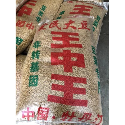 现货批发黄豆东北黄豆50斤大颗粒80斤普通通货磨豆浆豆高蛋白新豆图5