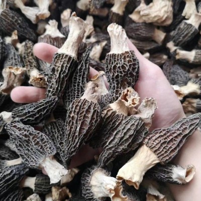 源头厂家头茬新货羊肚菌250克食用菌干货特产菌汤包酒店供餐饮食图2