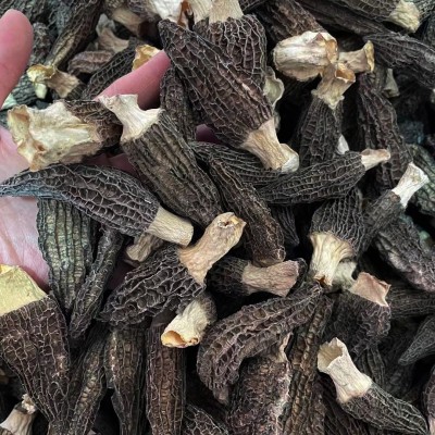 源头厂家头茬新货羊肚菌250克食用菌干货特产菌汤包酒店供餐饮食图4