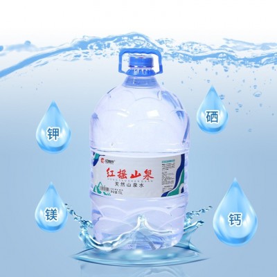 源自大别山天然山泉水一次性桶装水便捷卫生方便15L图2