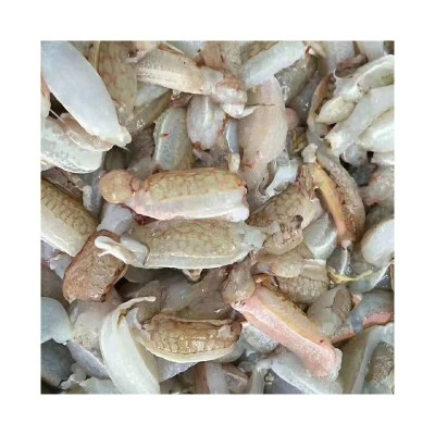 手工现敲蟹腿肉 东山海鲜无泡发蟹脚肉新鲜蟹钳肉手剥餐饮蟹腿肉图5