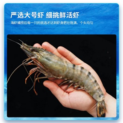 即食大号鲜美烤竹节九节虾干 福建海鲜水产干货孕妇零食斑节虾干图3