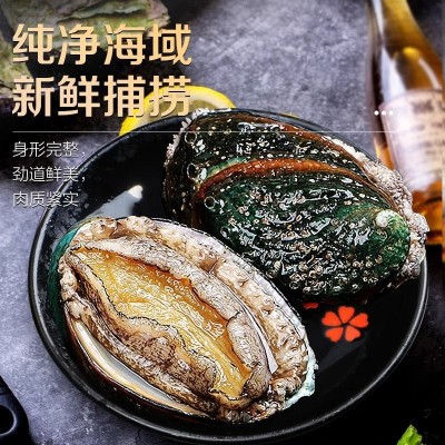 【一斤装】新鲜超大鲍鱼鲜活冷冻黄金鲍鱼九孔鲍海鲜水产商用批发图2