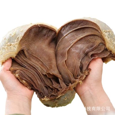新鲜毛肚火锅食材菜品涮火锅配菜冒菜牛百叶牛肚牛杂商用千层肚图5