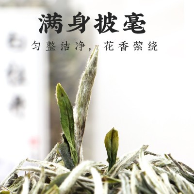 2024春茶头采白牡丹福建大毫牡丹王高山花香白牡丹型厂家批发直供图2