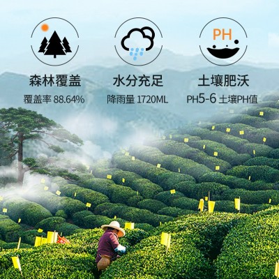 祁门红茶2024新茶特级高山春茶茶叶自己喝浓香型袋装散装批发500g图4