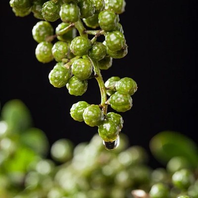 四川青花椒藤椒干花椒青麻椒粒特香特麻青花椒干货调味料青花椒图3