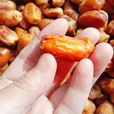 椰枣批发 电商货源自然吊干大颗粒蜜枣 箱装散货伊拉克黄金椰枣图2