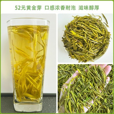 2024明前特级手工黄金芽茶叶安吉工艺浓香型豆香春茶新茶散装批发图5