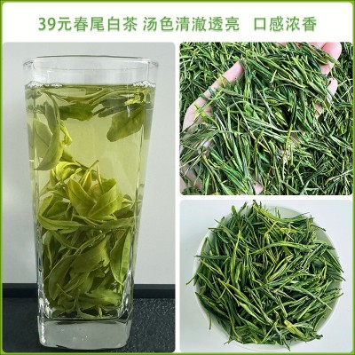 2024年珍稀白茶安吉新茶一芽一叶特级浓香型白茶毛峰茶叶散装批发图5
