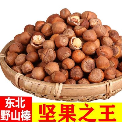 东北野生榛子新货袋装原味薄皮孕妇坚果零食批发价铁岭特产绿茶