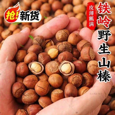 东北野生榛子新货袋装原味薄皮孕妇坚果零食批发价铁岭特产绿茶图4