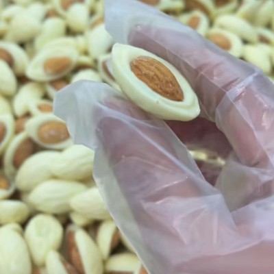 代发迷你巴旦木酸奶巧克力 巴旦木酸奶块坚果零食酸奶巴旦木图4