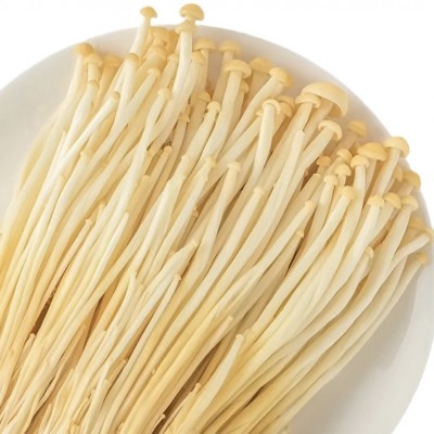 农家自种现摘新鲜黄色金针菇蔬菜食用菌火锅食材包邮现采金针菇图5