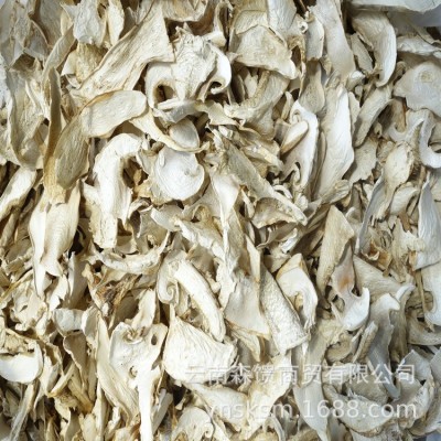 老人头菌 牛肝菌 白头菌图5