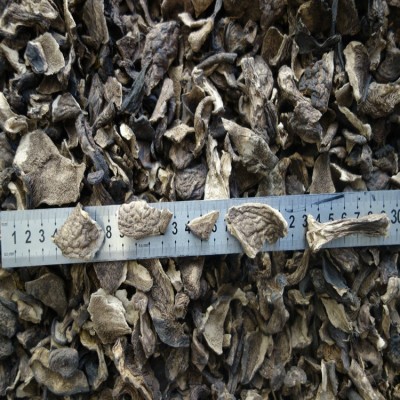 黑虎掌 黑虎掌碎片 产价批发 菌香味浓 干度好 质量保证图4