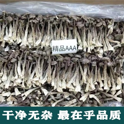 鹿茸菇干货500g家用商用菌菇特产脆脆菇煲汤食材蘑菇支持一件代发图2