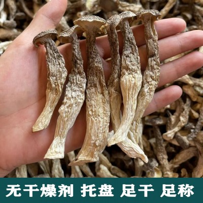鹿茸菇干货500g家用商用菌菇特产脆脆菇煲汤食材蘑菇支持一件代发图3