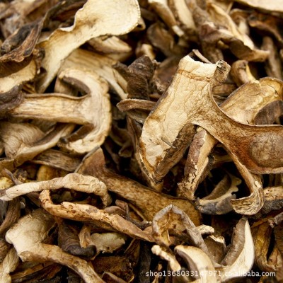 批发黑牛肝菌 牛肝菌 黑牛肝 牛肝菌 云南产地图3