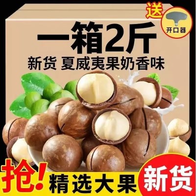 【净重】阿尤布新货夏威夷果奶香味大颗粒大开口坚果零食批发价整图1