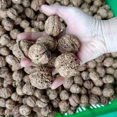 2024年新货云南纸皮大麻子核桃薄皮原色核桃原味整件批发一件代发图5