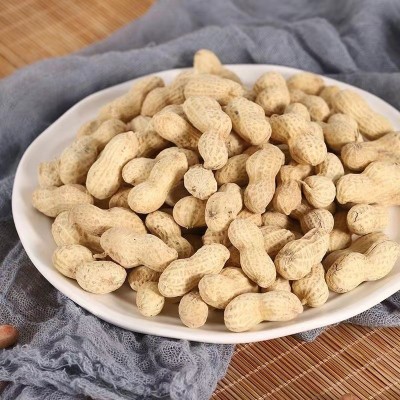 厂家批发徽展108g卤味花生新货大花生坚果炒货休闲零食新货袋装图2