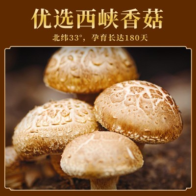 仲景香菇酱拌饭拌面蘑菇酱暴下饭菜夹馍配粥炒饭炒菜菌菇酱料230g图2