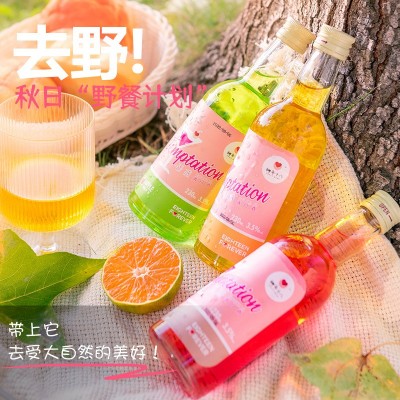 娜年十八果酒六瓶装定制混合味杨梅酒网红女生低度微醺果酒礼盒装图2