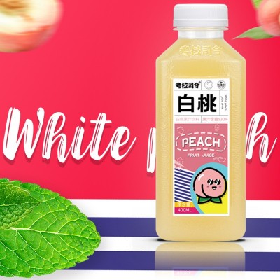 果汁饮料400mlx6/15瓶整箱网红橙子芒果猕猴桃汁饮品批发图4