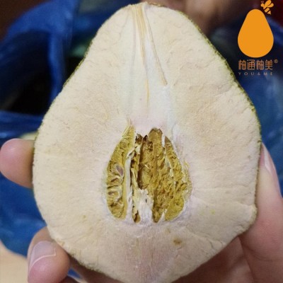 沙田柚小柚果 烘干柚子皮柚子粉食品果胶粉的加工原料 批发1kg图2