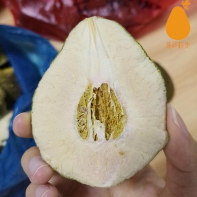 沙田柚小柚果 烘干柚子皮柚子粉食品果胶粉的加工原料 批发1kg图5