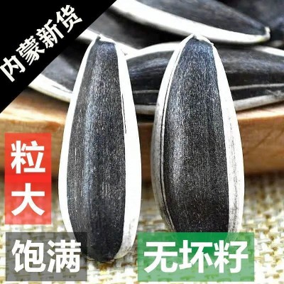 现炒原味瓜子内蒙古原味新货大颗粒熟瓜子饱满净重批发炒货零食图2