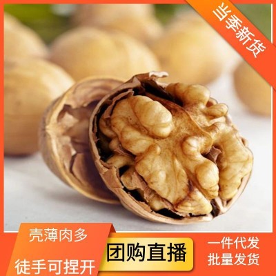整箱新货新疆纸皮核桃阿克苏生核桃185核桃干果新疆特产薄皮核桃图2
