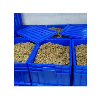 厂家新货 186纸皮核桃仁白头级核桃仁 现货孕妇零食纸皮核桃仁图5