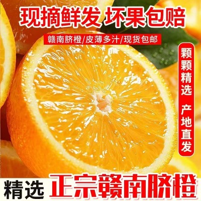 【赣州果园直供】正宗赣南脐橙应季新鲜薄皮橙子超市供应整箱批发图2