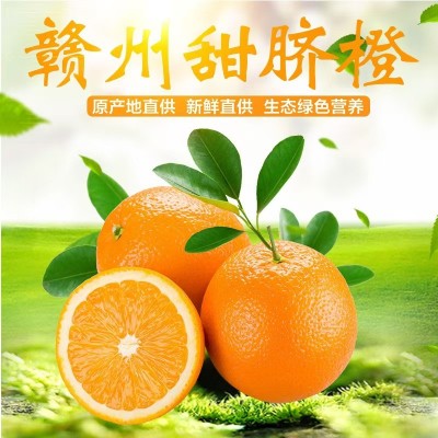 【赣州果园直供】正宗赣南脐橙应季新鲜薄皮橙子超市供应整箱批发图4
